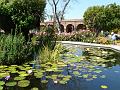 San Juan Capistrano Mission P1020099